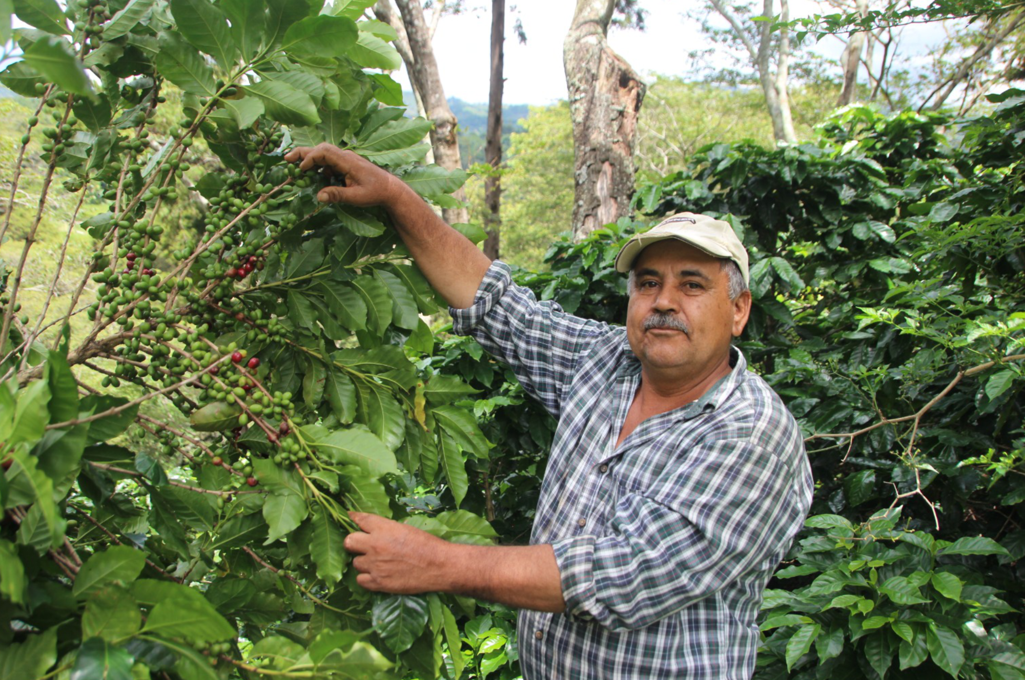 Collection of Finca La Balastrera in a gallery layout